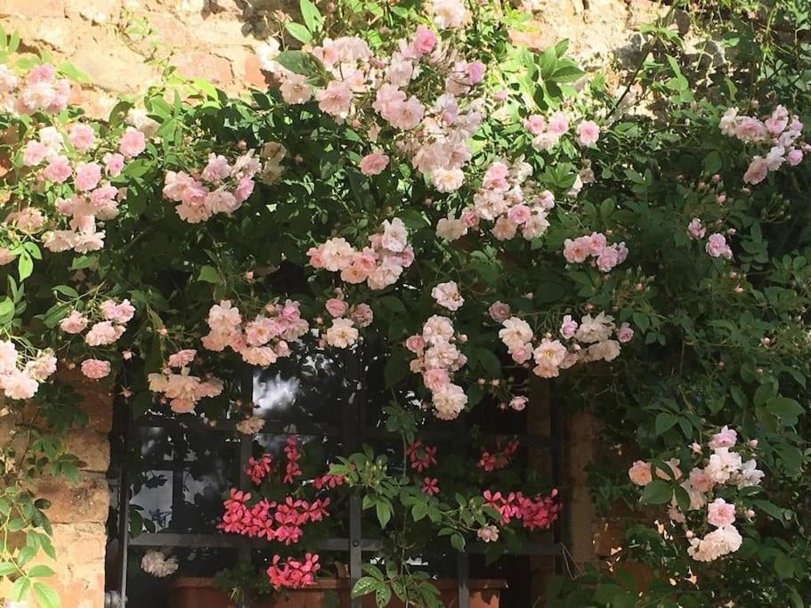 锡耶纳Agli Olivi Di Marciano公寓 外观 照片